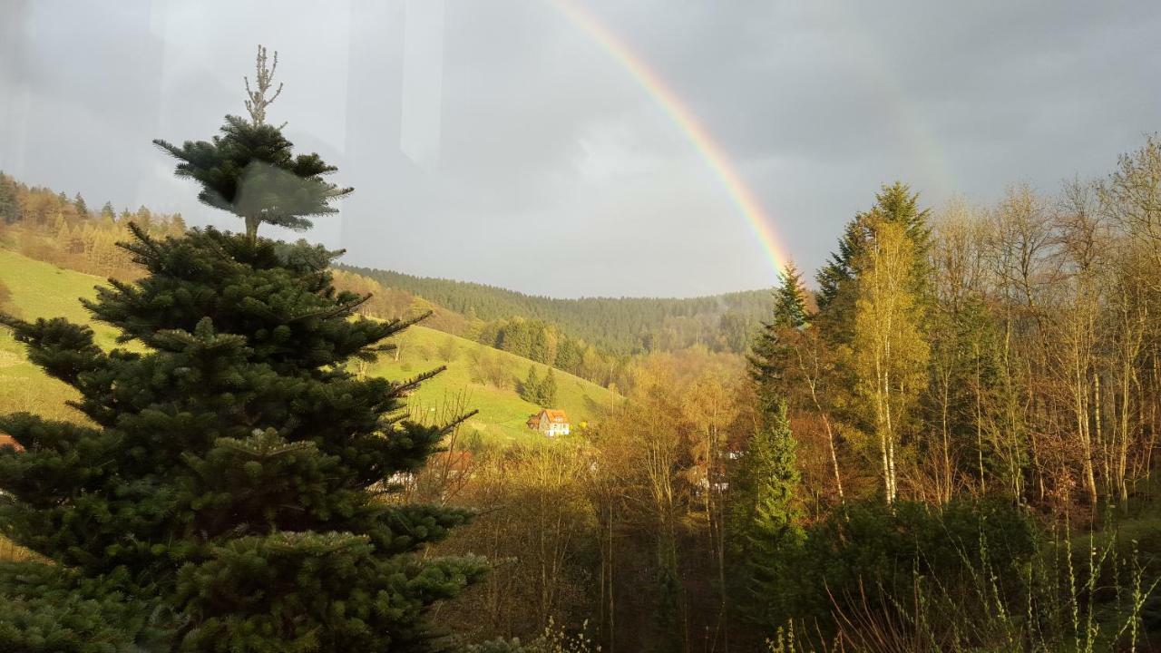 Fewo Bergblick Osterode am Harz Exterior photo